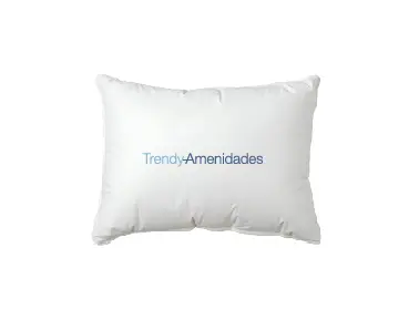 Almohada pequeña 1 tinta CON FUNDA (38 x 50 cm relleno 300 g)